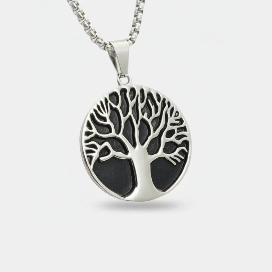 Rooted