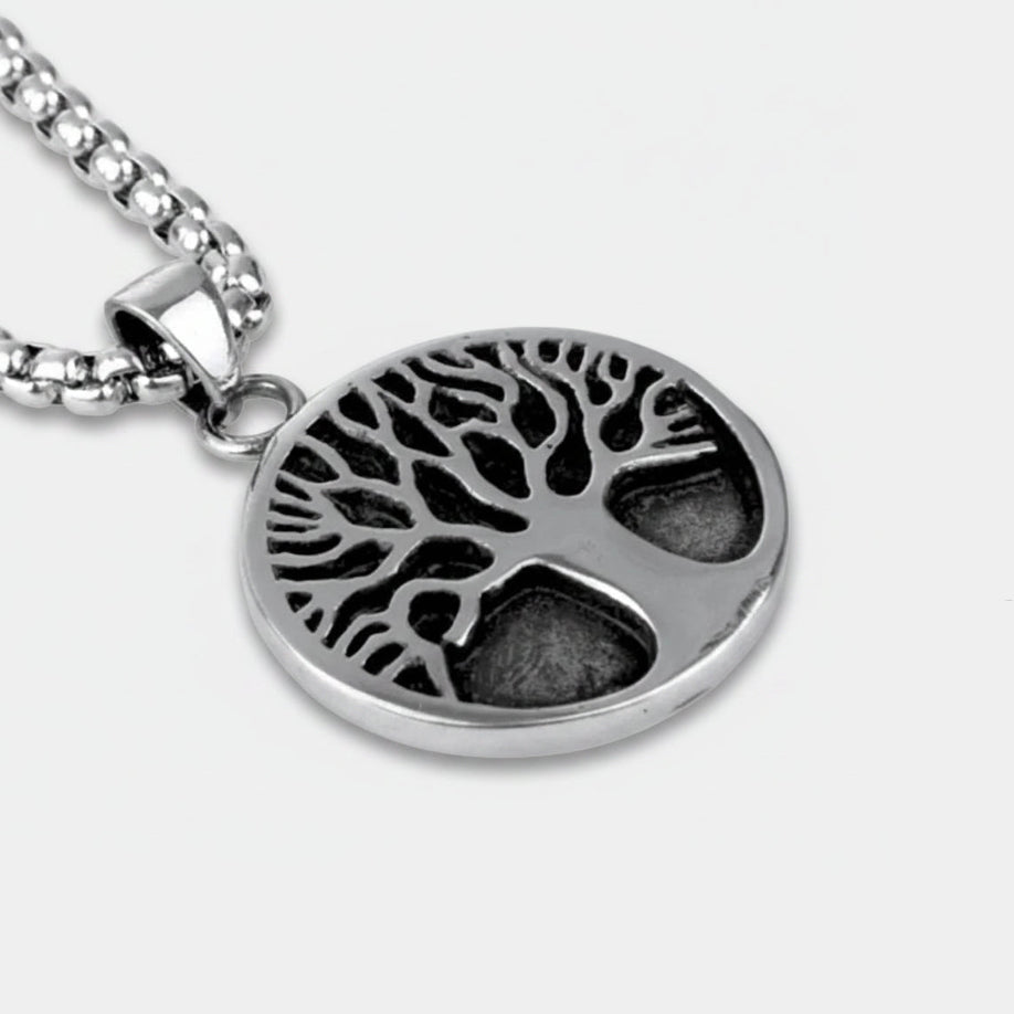 Rooted
