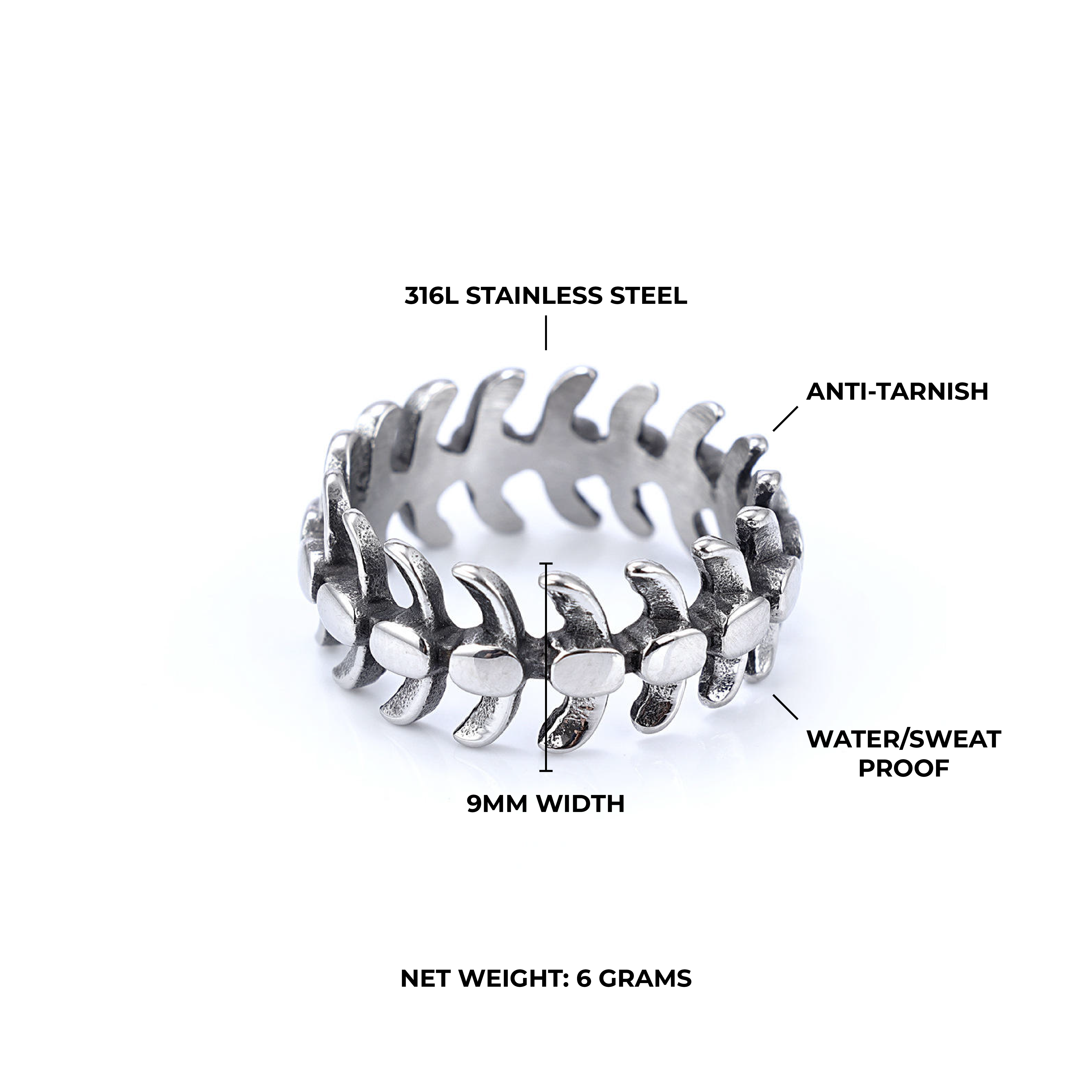 Vertebrae